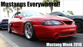 Mustangs Everywhere - Mustang Week 2016