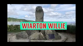 WIARTON WILLIE FAMOUS CANADIAN GROUNDHOG #groundhog