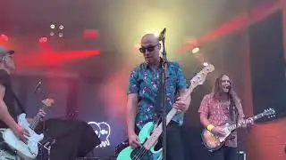Pepper - Ashes