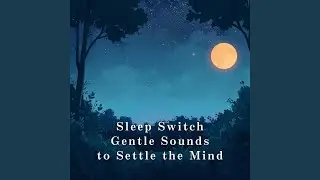 Whisper in the Stillness
