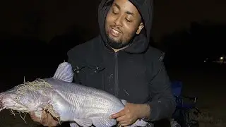 Dominating Blue Catfish at Lake Lavon