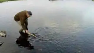 a beautiful browntrout,72 cm flyfishing in kola peninsula