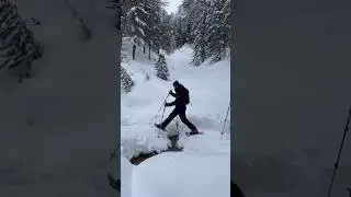 Ciaspolata nella natura di Livigno