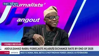 Abdulsamad Rabiu Says President Tinubu's Reforms Are Ending Reliance On CBN For Forex