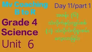 Grade 4 Science, Unit 6, Day 11, part 1, Topic (၁။ သံလိုက်ကိုစူးစမ်းလေ့လာခြင်း)
