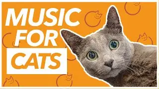 Firework Noise Anxiety Music - ANTI ANXIETY SONGS FOR CATS