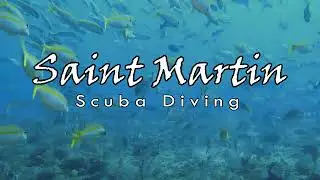 Scuba diving in St Martin | St Maarten | 4K