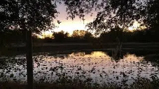 A beautiful view of a South Florida sunset over a pond! 