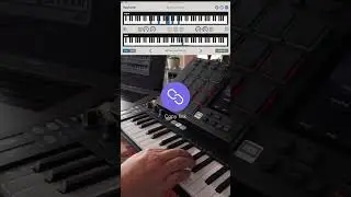 Amazing Neo-Soul Scale 🤩 #ripchord #neosoulchords