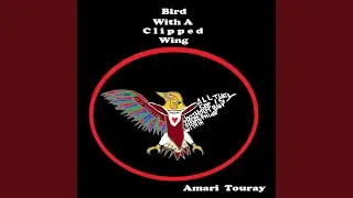 Bird With A Clipped Wing