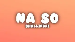 Shallipopi - Na So (Lyrics)