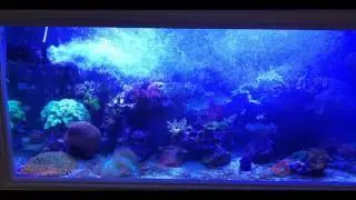 Coral Box Quiet Pump (QP-16)