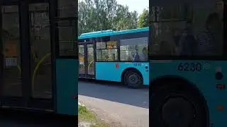 Автобус волгобас 5270.G2 по 247 маршруту в пос.Бугры 2 #спб #транспорт #автобус@ТроллейбусОнелав