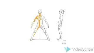 What is GDS?
