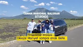 Dikejar Monyet Sampai Anak Bete di Taman Nasional Baluran #tamannasionalbaluran #video #banyuwangi