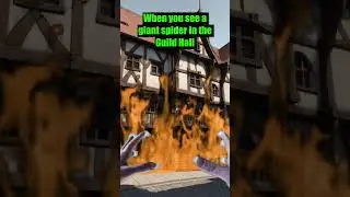 When you see a giant spider in the Guild Hall