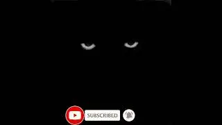 Let me cook freestyle by T-Beast and Lambozin Proby Kay boy 65