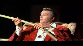 Cool Count Yorga