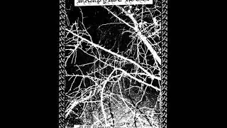 Wampyric Rites : ...In the Desolate Forest of Eternity (Full EP)