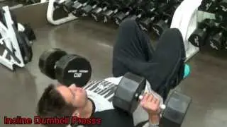 HOW TO GET A SHREDDED CHEST   Logan Franklin
