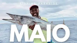 Maio island fishing paradise - Wahoo and amberjecks