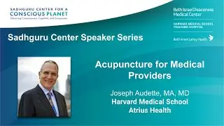 &ldquo;Acupuncture for Medical Providers&rdquo; by Dr. Audette