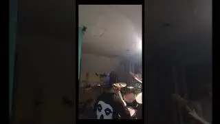 The Dust Bunnies - The funk.- indie punk rock -original jam.