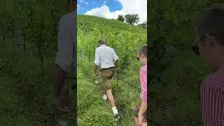 Weinprobe Sand Am Main vom Weingut Goger Stefan erkl&auml;rt die Reben #hubertfella ￼