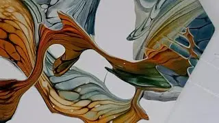 Великолепный перенос цвета... + 2 неудачные попытки перекраситься... ха-ха