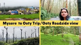 Mysore to Ooty  Via Bandipur by Road Trip /Ooty Roadside view/ Ooty trip/Beautiful View (part-1)