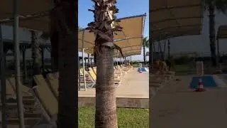 Турция🇹🇷2024,Отель Crystal boutique 16+, Белек.