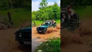 valmiki tiger reserve | Jungle safari | valmiki nagar | Bihar Tourism | National Park