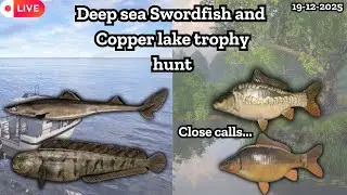 Swordfish trophy hunt at deep sea | Copper lake trophy hunt |  Russian fishing 4 | Nanstein | #rf4