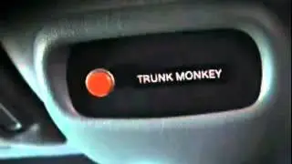 Trunk Monkey - Safety System Version