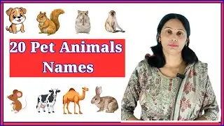 20 Pet Animals Name in  English and Hindi | Animals name for kids | Animals name #kidslearning
