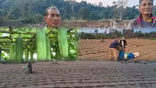 GENESIS S.H.G/ Frist time in Baghty valley/  biggest Cucumber field seeds Seedlings Step by step 💪💪