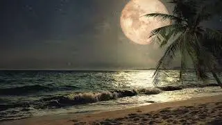 &AElig;j, Danna - Latin Moon - UNRELEASED ORIGINAL ID - SCRAPPED IDEA