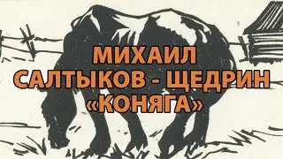 Салтыков-Щедрин 