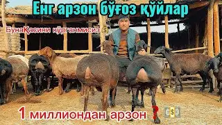 Tarixta qoladi🔥 narxi bilan judayam arzon narxlar 2026yilda ilk bor shok xabar 😱😱