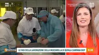 BUFALA DOP, A UNOMATTINA I CONSIGLI UTILI PER CONSUMARLA