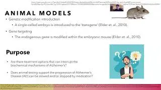 Senior Seminar Presentation