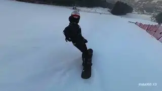 Бобровый лог 2025