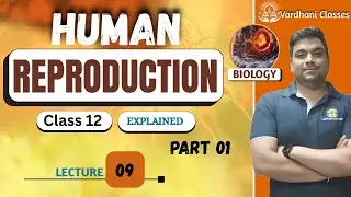 HUMAN REPRODUCTION | CLASS 12TH |SPERMATOGENESIS & OOGENESIS PART 2 | BY DR KARAN VARDHANI