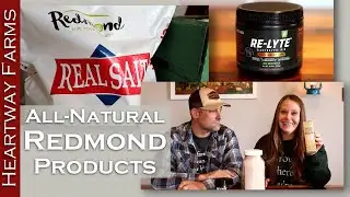 Which SALT is best? | Healthy Electrolyte Drink | All Natural Bath and Body | Redmond | Toothpaste