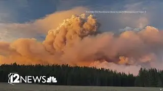 NAU professor to test Grand Canyon water supply for fire effects