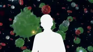 Bacteria human body in our life how to protect from genus