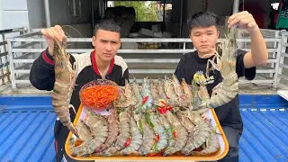 Hữu Bộ | T&ocirc;m S&uacute; Khổng Lồ Ng&acirc;m Tương H&agrave;n Quốc
