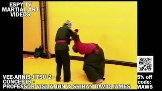 VEE-ARNIS-JITSU 2 - CONCEPTS - PROFESSOR VISITATION & SHIHAN DAVID JAMES