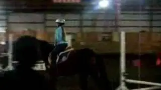 Pony flat work with few trot and canter fences