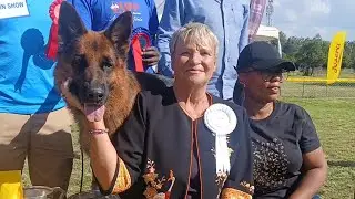 Nairobi Dog Show: Adorable canines strut for audience